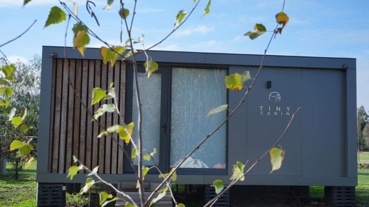 Cabanas Y Padel Tinycolchagua Cl サンタ・クルス エクステリア 写真