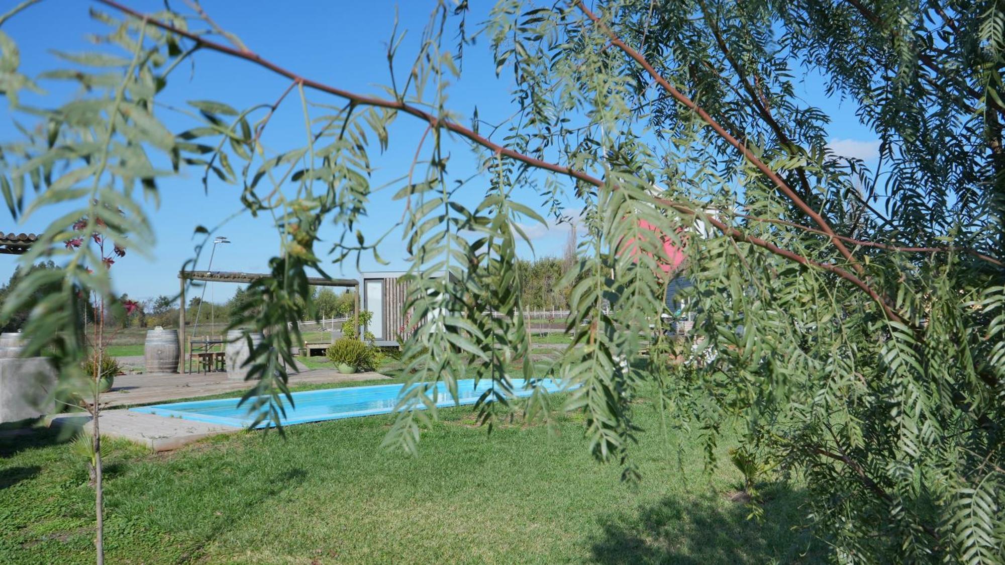Cabanas Y Padel Tinycolchagua Cl サンタ・クルス エクステリア 写真